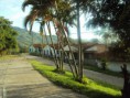/album/fotogaleria-ansermanuevo/a253519-1931224614364-702458-n-jpg1/